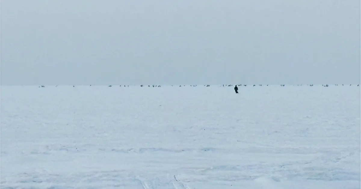 «NAGU ÖÖ JA PÄEV» ⟩ Pärnu lahe jää soosib lõpuks talvist ahvenapüüki