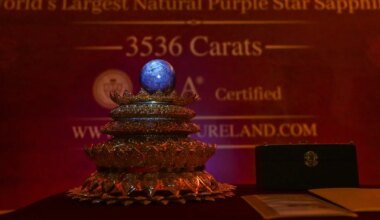 VIDEO ⟩ Sri Lankal toodi avalikkuse ette 300 miljonit dollarit väärt rekordsafiir