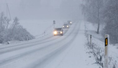 peaaegu iga kümnes oli seotud lumega