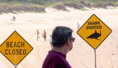 Sydney randades on haid paari päevaga rünnanud juba kolme inimest