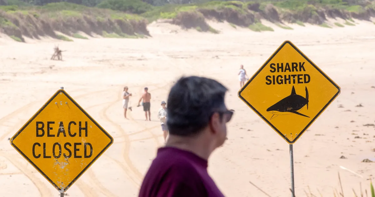 Sydney randades on haid paari päevaga rünnanud juba kolme inimest