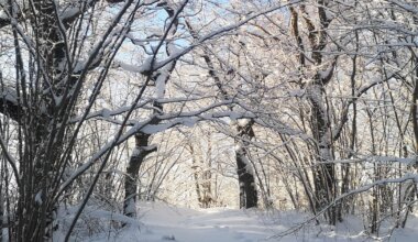 nüüd võib tulla ehmatavalt julgeid avaldusi ja käivitusi