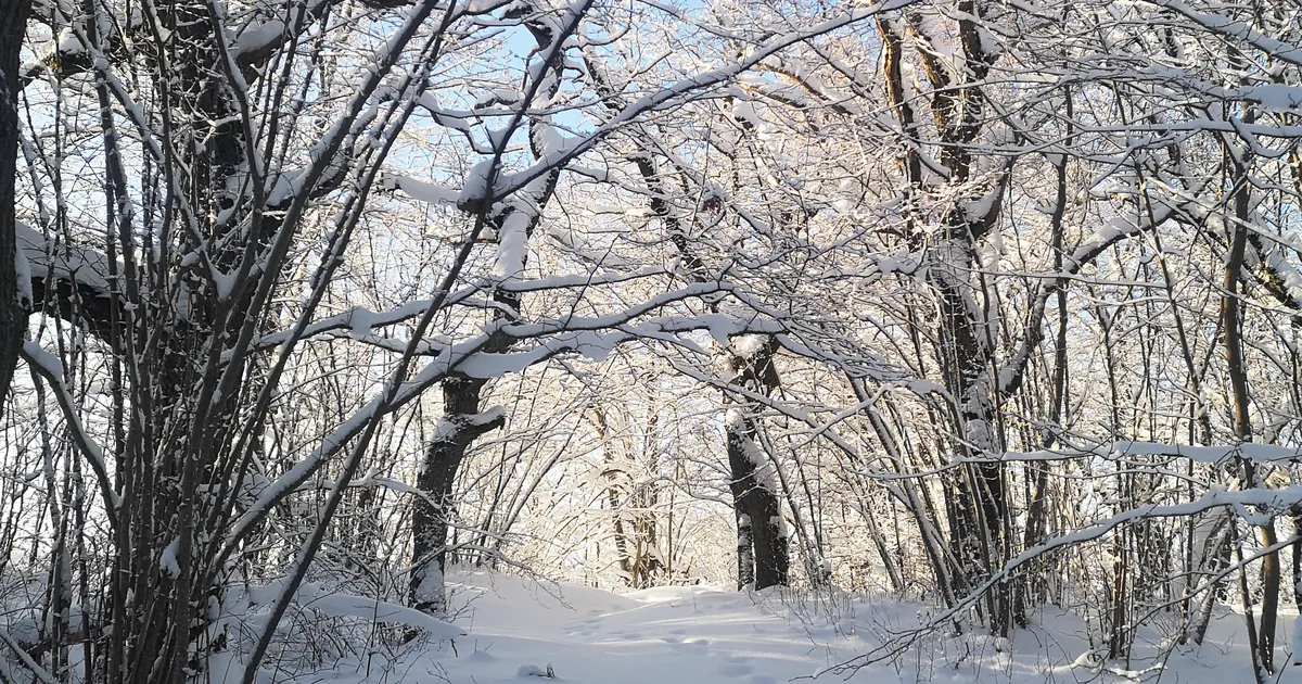 nüüd võib tulla ehmatavalt julgeid avaldusi ja käivitusi