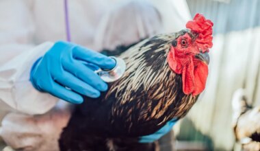 «See, mida nägime, oli õõvastav»