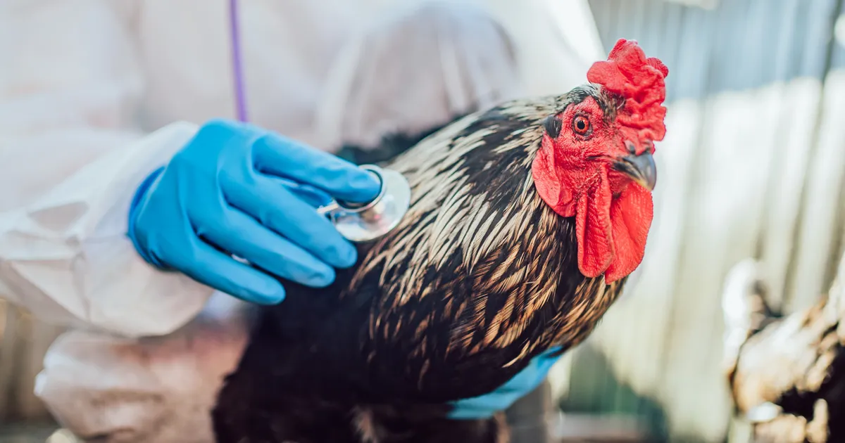 «See, mida nägime, oli õõvastav»