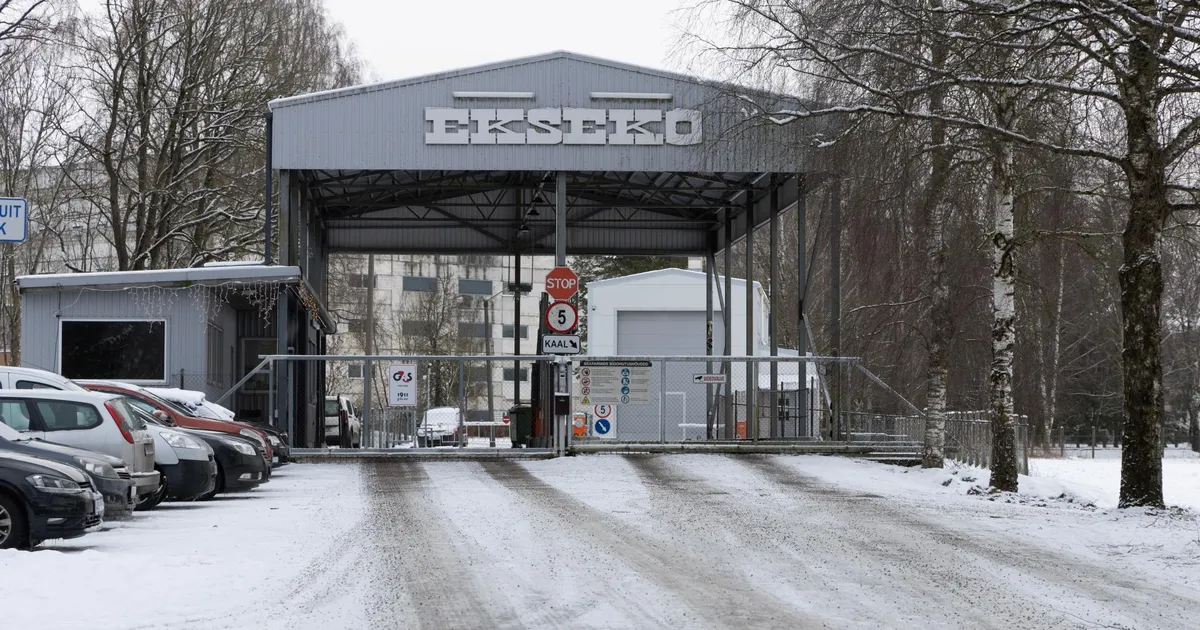 Katkuga ränga hoobi saanud seakasvatuse taastamiseks kulub 75 miljonit eurot