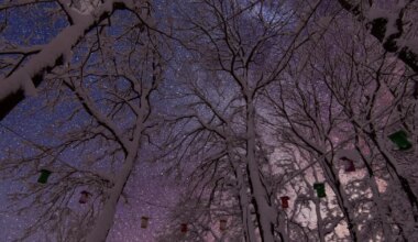 Amburi seiklusjanu annab endast märku, Sõnnil on oluline märgata detaile