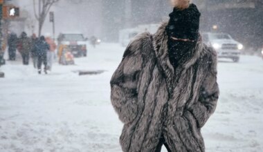 Ränk lumetorm on USA-s tapnud vähemalt kümme inimest - Maailm - Postimees.ee