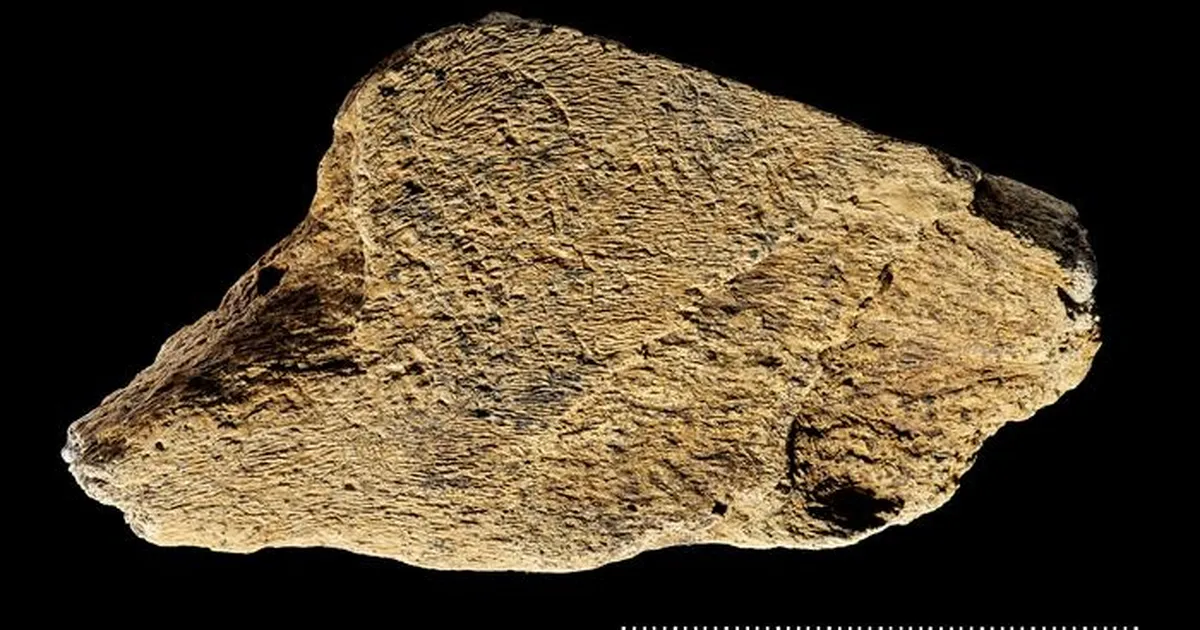 Euroopast leiti poole miljoni aasta vanune tööriist