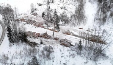 Mõisaproua pärijad vaatavad ahastuses pealt, kuidas mõisa metsa paljaks võetakse