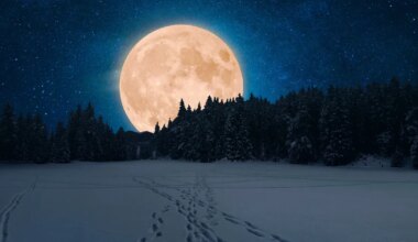 NÄDALAPROGNOOS ⟩ Eriliselt laetud nädal viib võiduka täiskuuni: midagi on tähistada