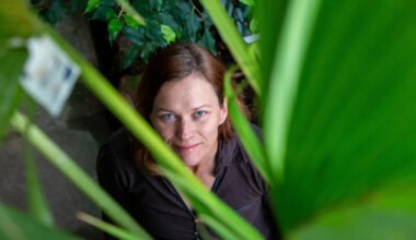 püüan looduse eest seista ja kõneleda, aga et see presidendile sellist tähendust omab…