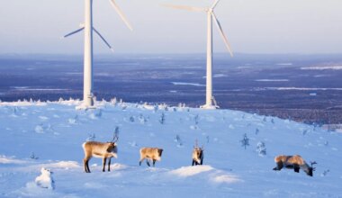 Lisaks Auvere rikkele tõstab niigi kalli elektri hinda veel üks üllatav probleem - Majandus