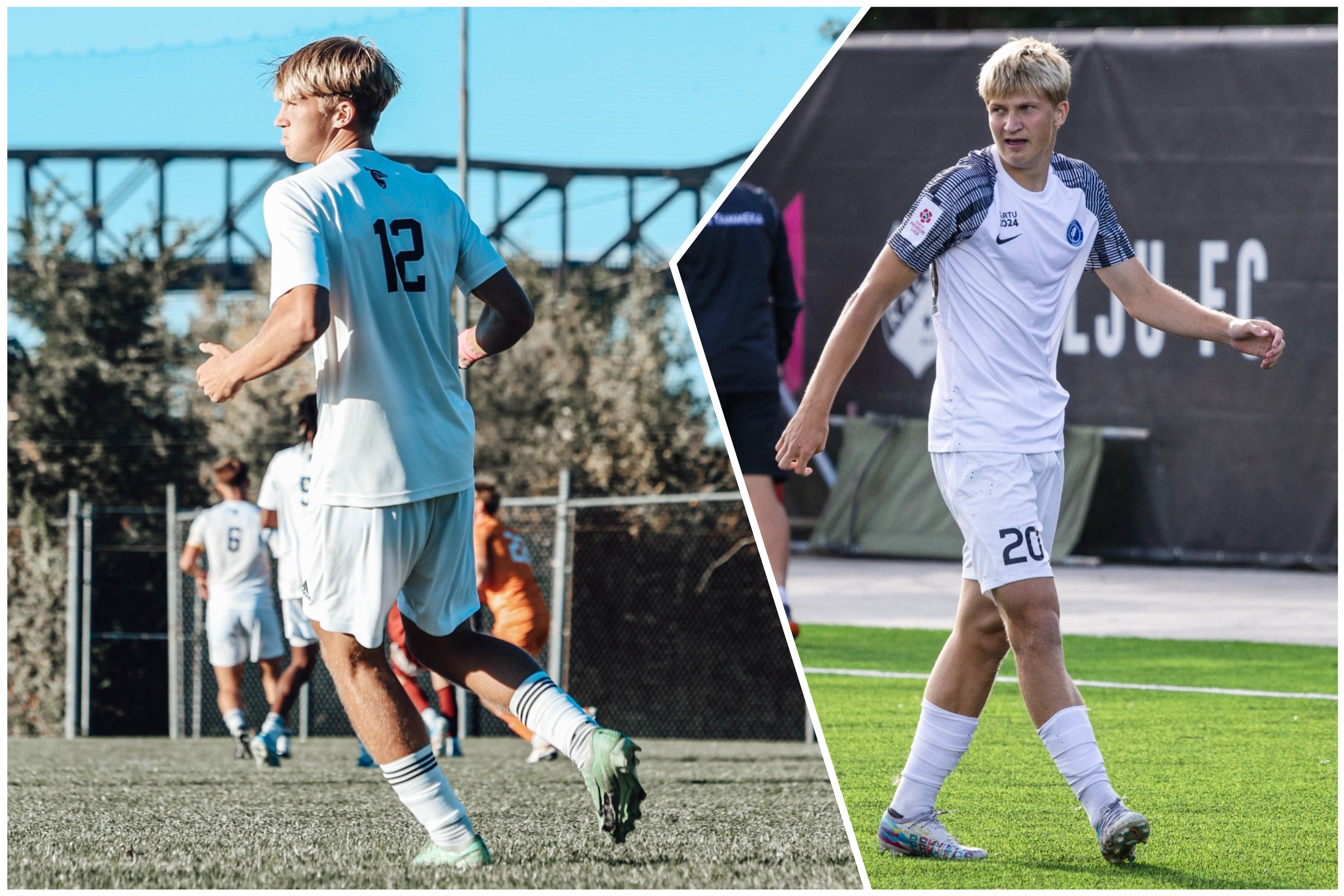 Robin Mathias Müüri seiklused suure lombi taga said lõpu. Fotod: erakogu; Robert Markus Liiv