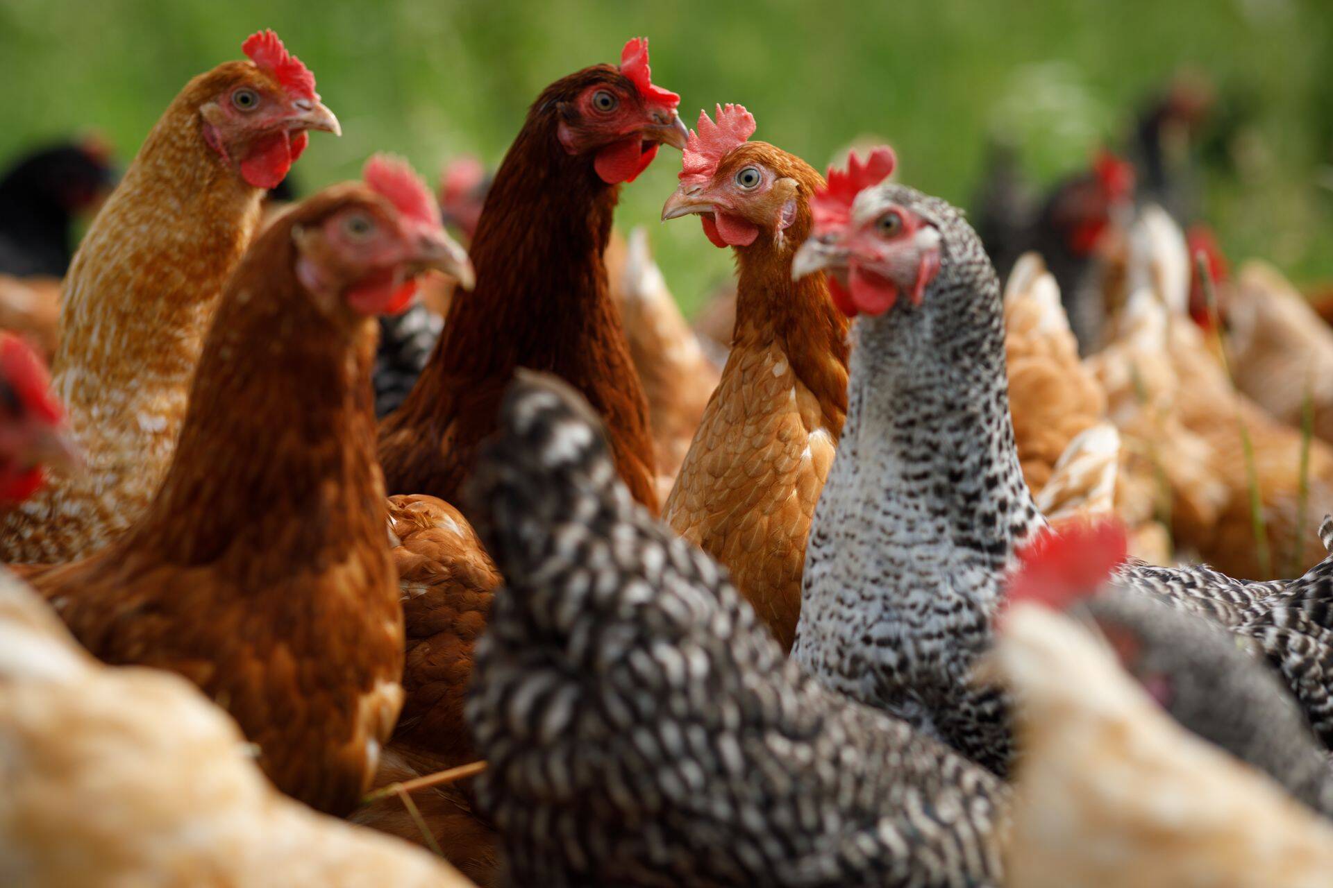 Pilt on illustreeriv.