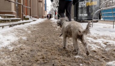 Pärnu heakorraeeskiri ei luba kõnniteid soolatada, aga linnavalitsus eirab nõuet