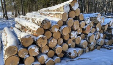 Raie vähendamine riigimetsas paneb puidutöösturid muretsema | Majandus