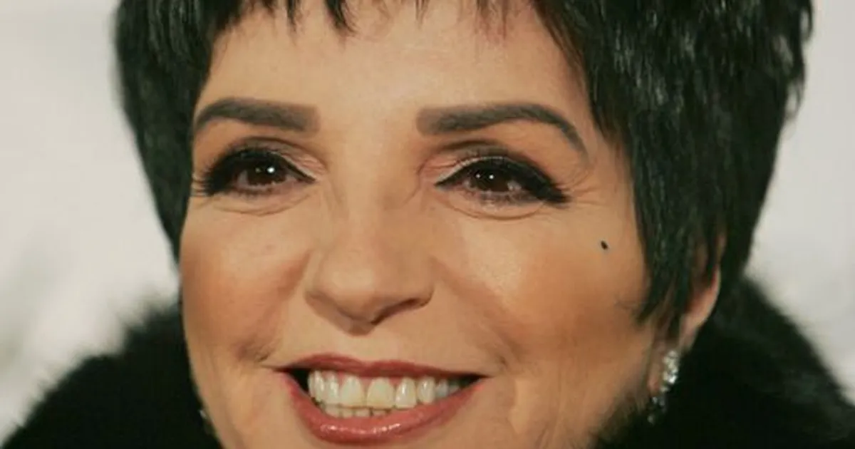 Liza Minnelli avaldab pärast 13-aastast pausi uue muusikapala ja teeb seda koos vastuolulise partneriga