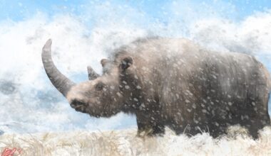 Karvase ninasarviku genoom saadi kätte hundi kõhust | Ajalugu