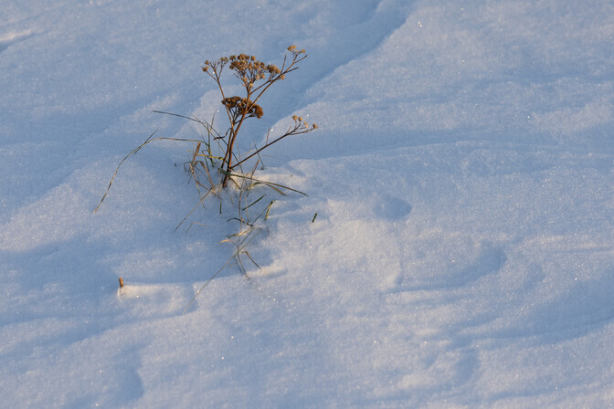 Karge talveilm mõjutab nii ühistransporti kui ka tervishoidu | Eesti