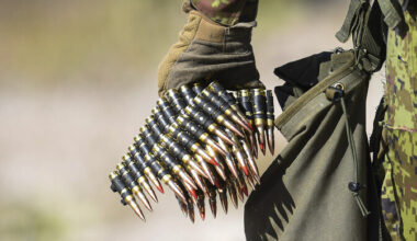 Eesti pani mullu ligi sajandiku majanduse mahust laskemoona alla | Eesti