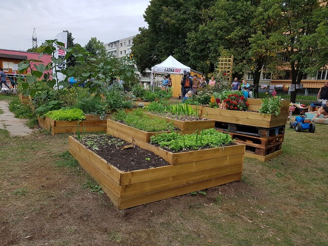 Uuring: pealinna kogukonnaaedades kasvanud toit on söömiseks ohutu | Keskkond