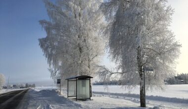 Ööl vastu pühapäeva langeb temperatuur kuni -25 kraadini | ilm