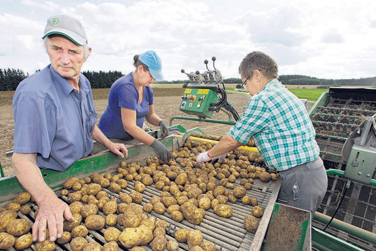 Suri Eesti kartuli- ja köögiviljanduse väsimatu edendaja Ants Einola