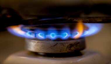 EL kiitis lõplikult heaks Vene gaasi keelu