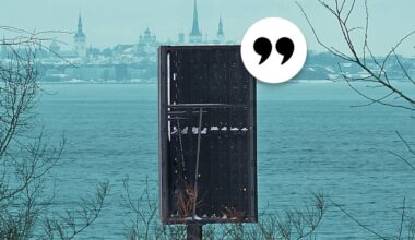 Haldo Oravas: mida teed, kui su koduakna vaade maha müüakse? Tallinn on muutumas kontrollimatu reklaamiäriga Ida-Euroopa džungliks