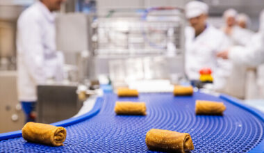 Tööstusettevõtete novembri toodang kasvas aastaga 3,4 protsenti | Majandus