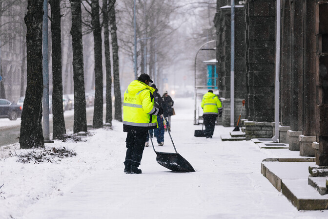 Järvan: lumekoristuse eest kiita saada on harukordne | Eesti