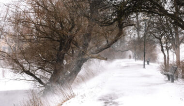 Ka reedel on ilm tuisune | ilm