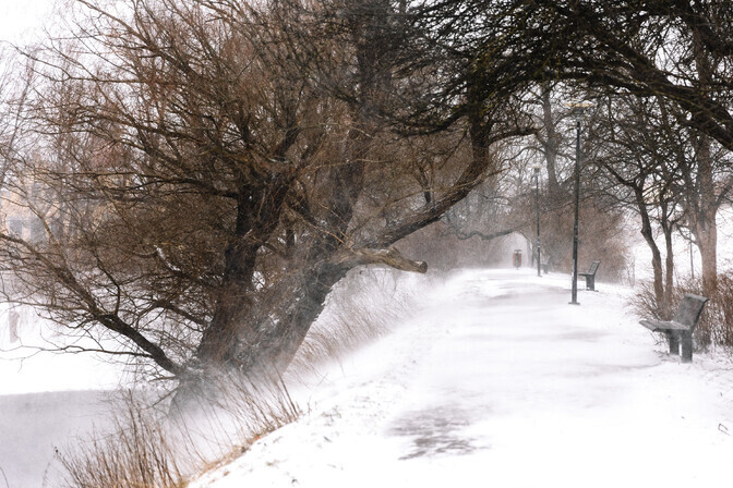 Ka reedel on ilm tuisune | ilm