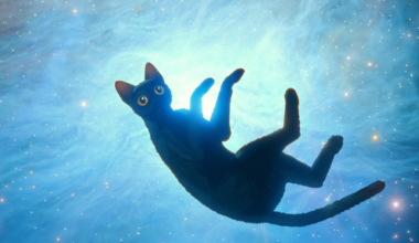 Kultuuriportaal soovitab: lätlaste Oscari-film "Vooluga kaasa" Jupiteris | Kultuuriportaal soovitab