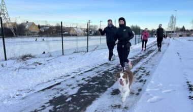 Galerii: Jõhvis jooksid kuusk, koer ja põder | Eesti