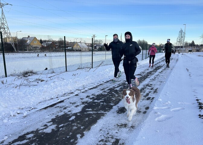Galerii: Jõhvis jooksid kuusk, koer ja põder | Eesti
