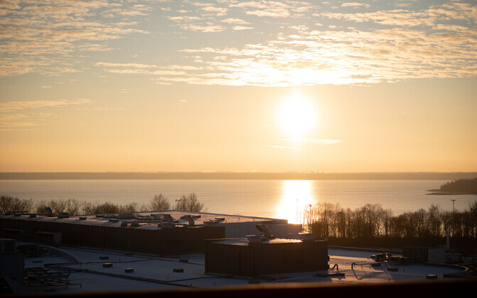 Teadlased selgitavad: miks jättis haruldane loodusnähtus Tallinna veeta? | Tehnika