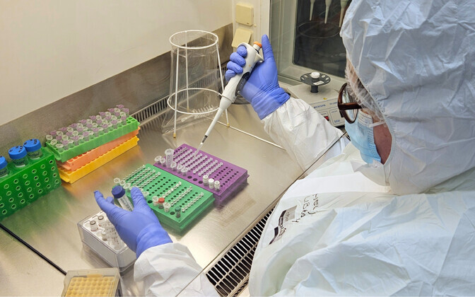 Laialt levinud herpesviirus vaevas inimesi juba rauaajal | Ajalugu