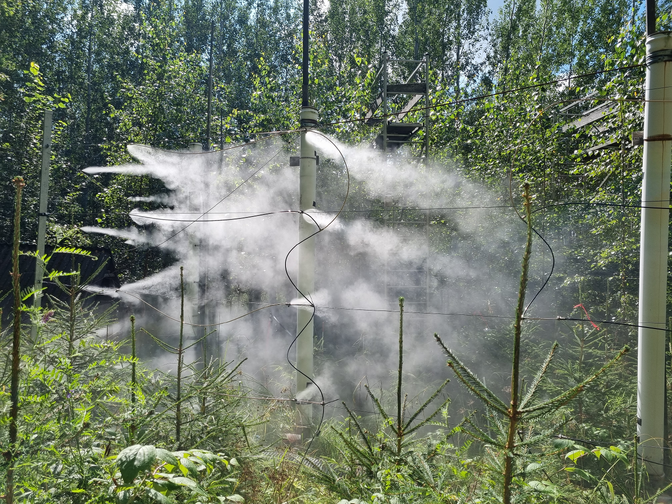 Niiskem kliima muudab kaskede kasvu ja veekasutust | Keskkond
