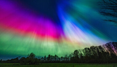 Lugeja küsib: mida põnevat tänavu taevalaotusel näha saab? | Lugeja küsib