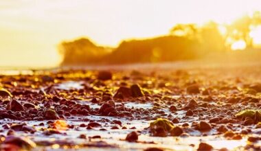 Kliimamuutus avaldab Läänemere randadele erisugust mõju | Keskkond