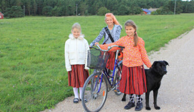 Klaasi alla pandud pärismuskultuur muutub elutuks museaaliks | Ühiskond