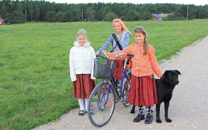 Klaasi alla pandud pärismuskultuur muutub elutuks museaaliks | Ühiskond