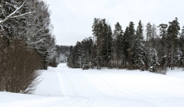 Jaanuaris saabunud talv rõõmustab Tartu maratoni läbiviijaid | Suusatamine
