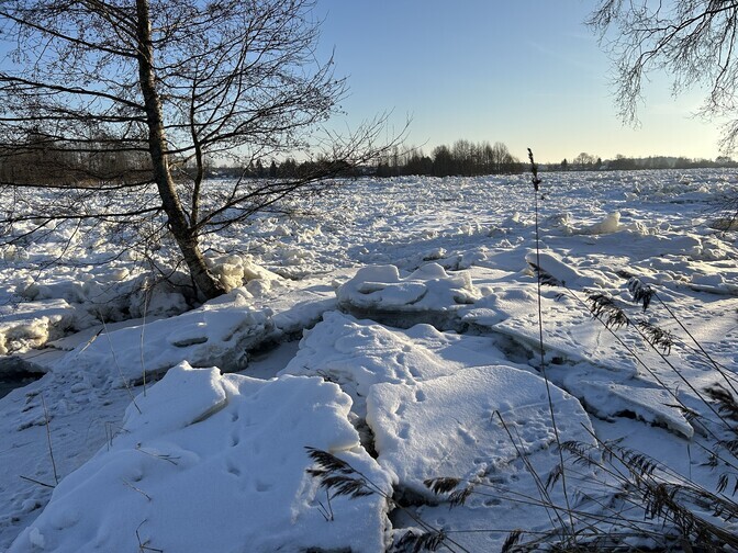 Järsult külmenenud ilm tõstis Kuningakülas Narva jõe veetaseme rekordkõrgele | Eesti