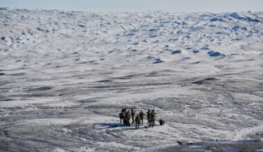Itaalia välistas vägede saatmise Gröönimaale | Välismaa