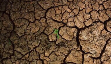 ÜRO uuring: maailm on jõudnud veepankroti ajastusse | Keskkond