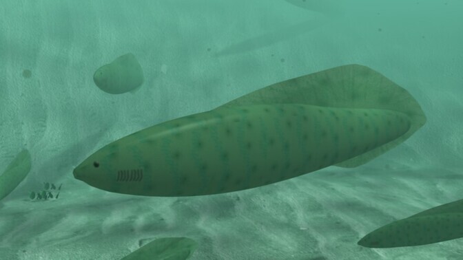 Ürgsetel kaladel oli neli silma | Loodus