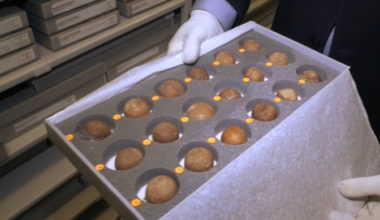 Saaremaa muuseumi varakambrites peitub palju üllatavaid museaale | Eesti